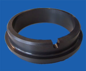 Silicon Carbide Seal Ring