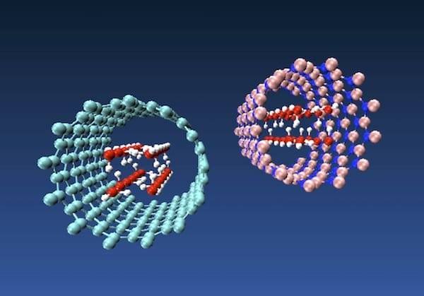 Differences in Properties Between Boron Nitride Nanotubes and Carbon Nanotubes