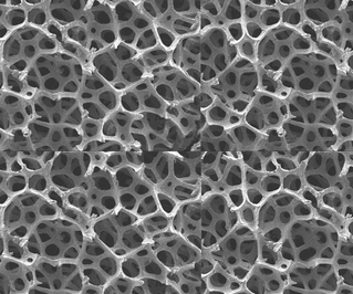 Graphene Foam
